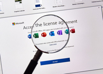Microsoft License